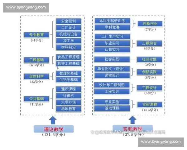 面向未来发展的体育职业技能培养体系创新与实践探索路径研究