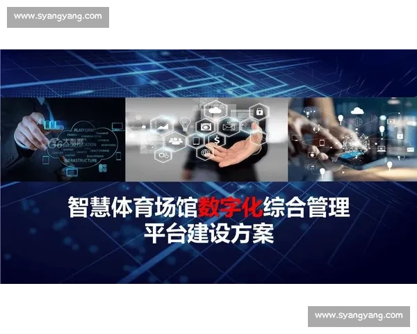 提升体育组织运营效能的策略与管理模式研究探索